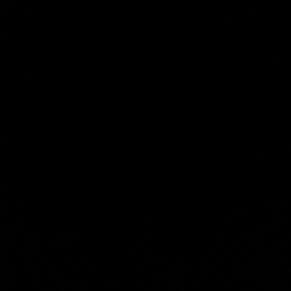 Meet your Posher, Preslee - Picture 1 of 1